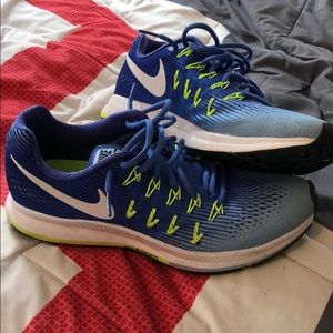 Nike zoom pegasus 33
